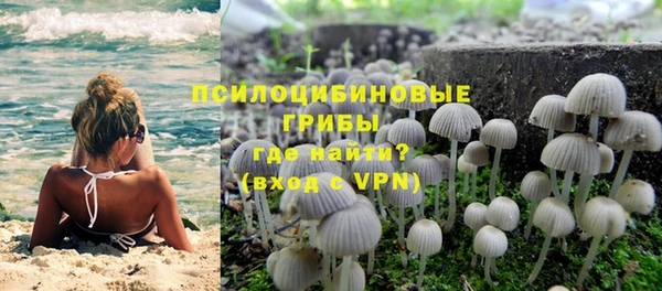 мдпв Каменка