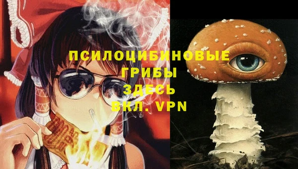 хмурый Иннополис
