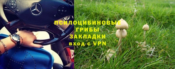 соль курить ск Инсар