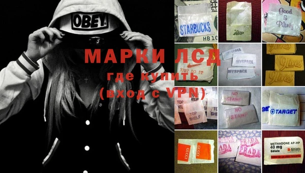 мдпв Каменка