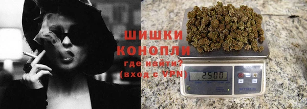 мдпв Каменка
