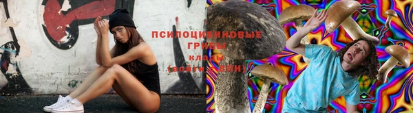 соль курить ск Инсар